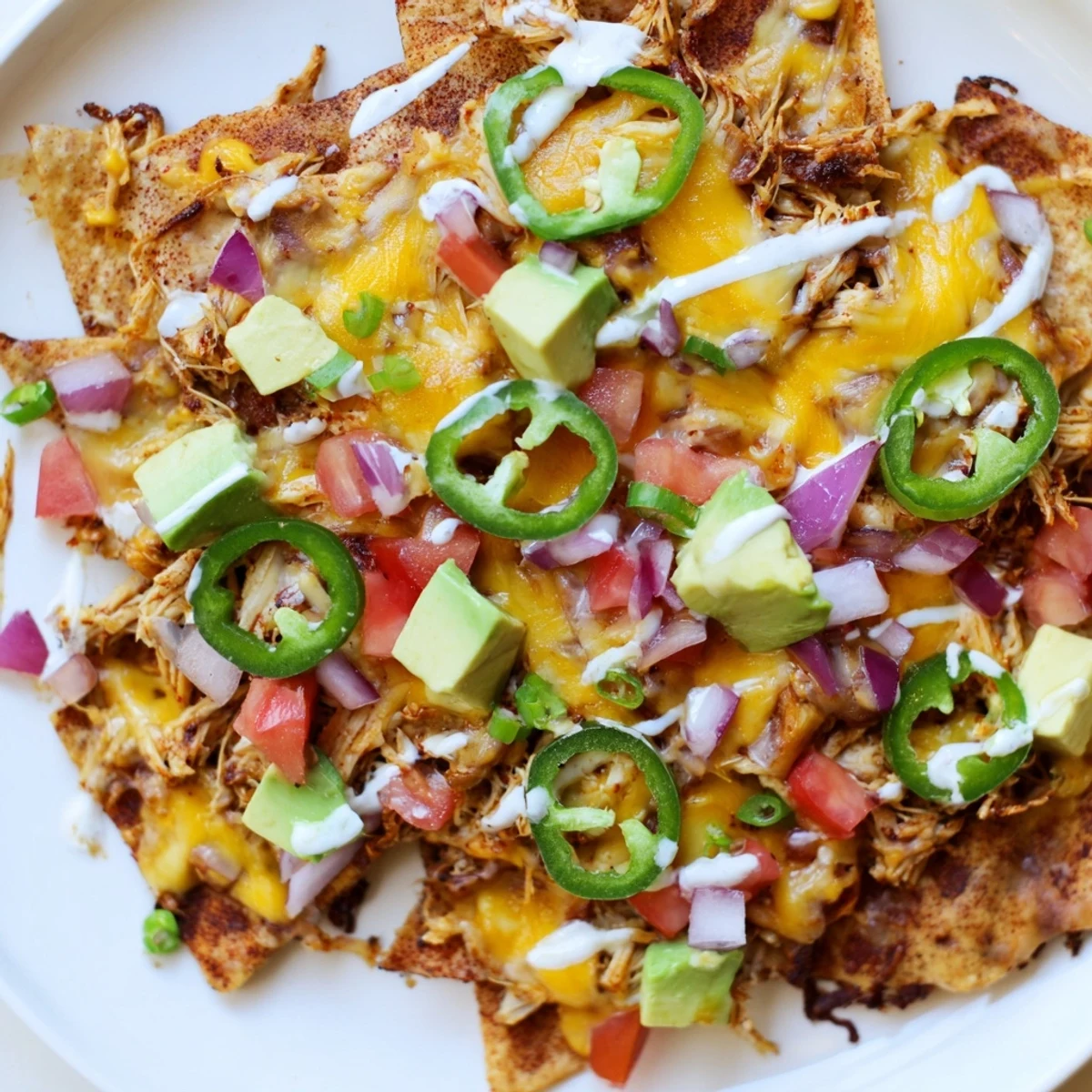 Tex-Mex style loaded nachos with Monterey Jack cheese, diced avocado, and red onion, baked until perfectly bubbly.