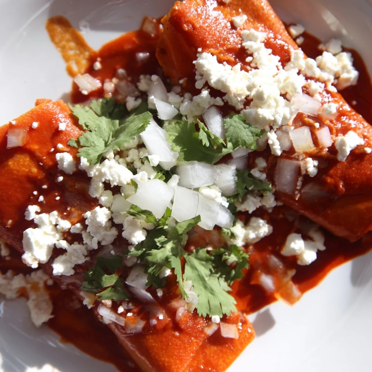 Golden entomatadas smothered in rich tomato sauce topped with crumbled cheese and fresh cilantro